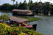 Kerala backwaters, our three hours neighborhood tour in the narrow canoe towards Vembanad Lake and along one of the  narrow canal running near our guest house at Kumarakom. 